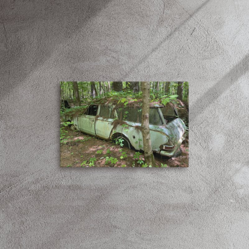 Old Car City USA – Nature Takes the Wheel product image (4)