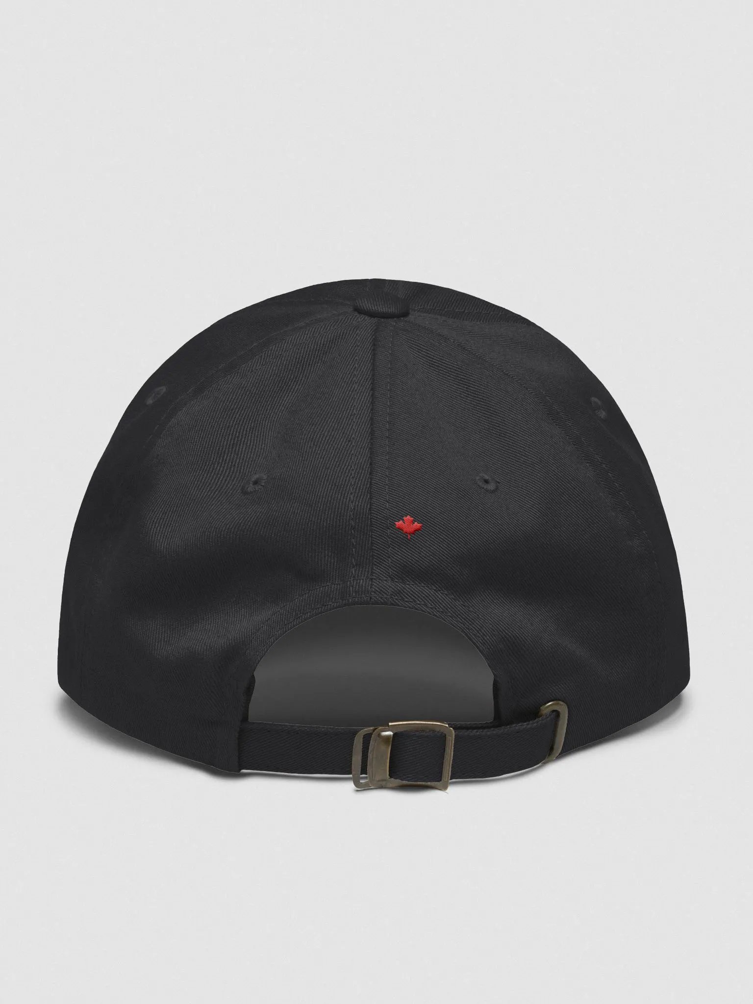 From Sea to Sea Cap product image (2)