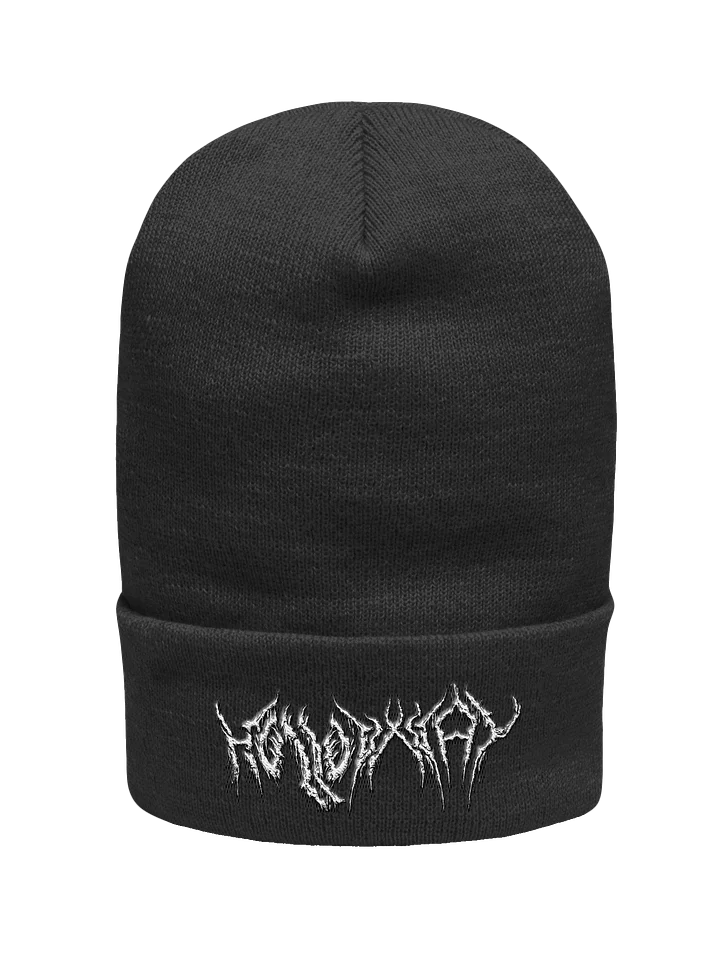 HOLLOWxWAY Cuffed Beanie product image (1)
