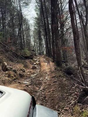 Out enjoying the day. #offroad #trail #gladiator #fyp 
