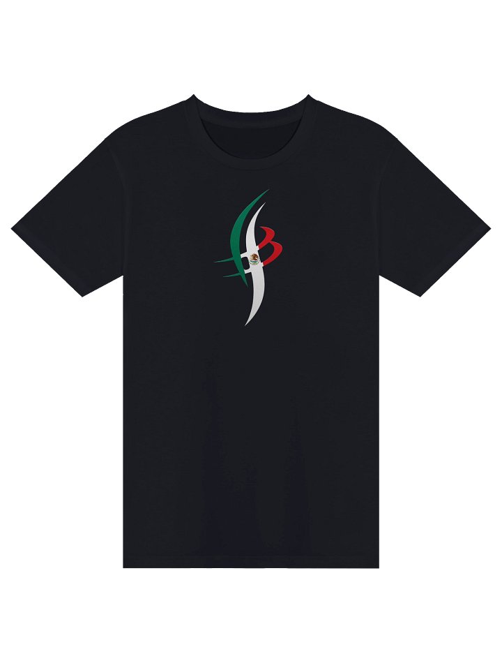 BEAM MEXICAN FLAG TSHIRT product image (9)