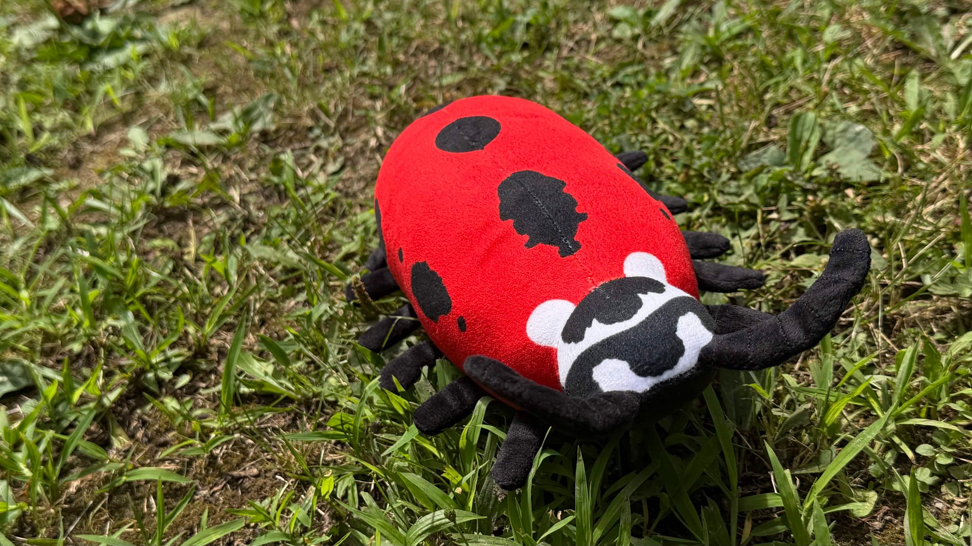 Arthur Plushie (Pre-order) product image (4)