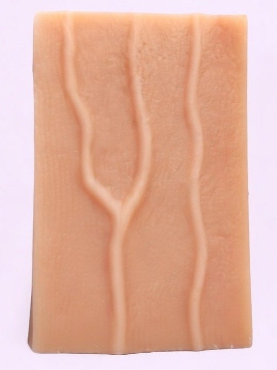 Venipuncture Training Model product image (1)