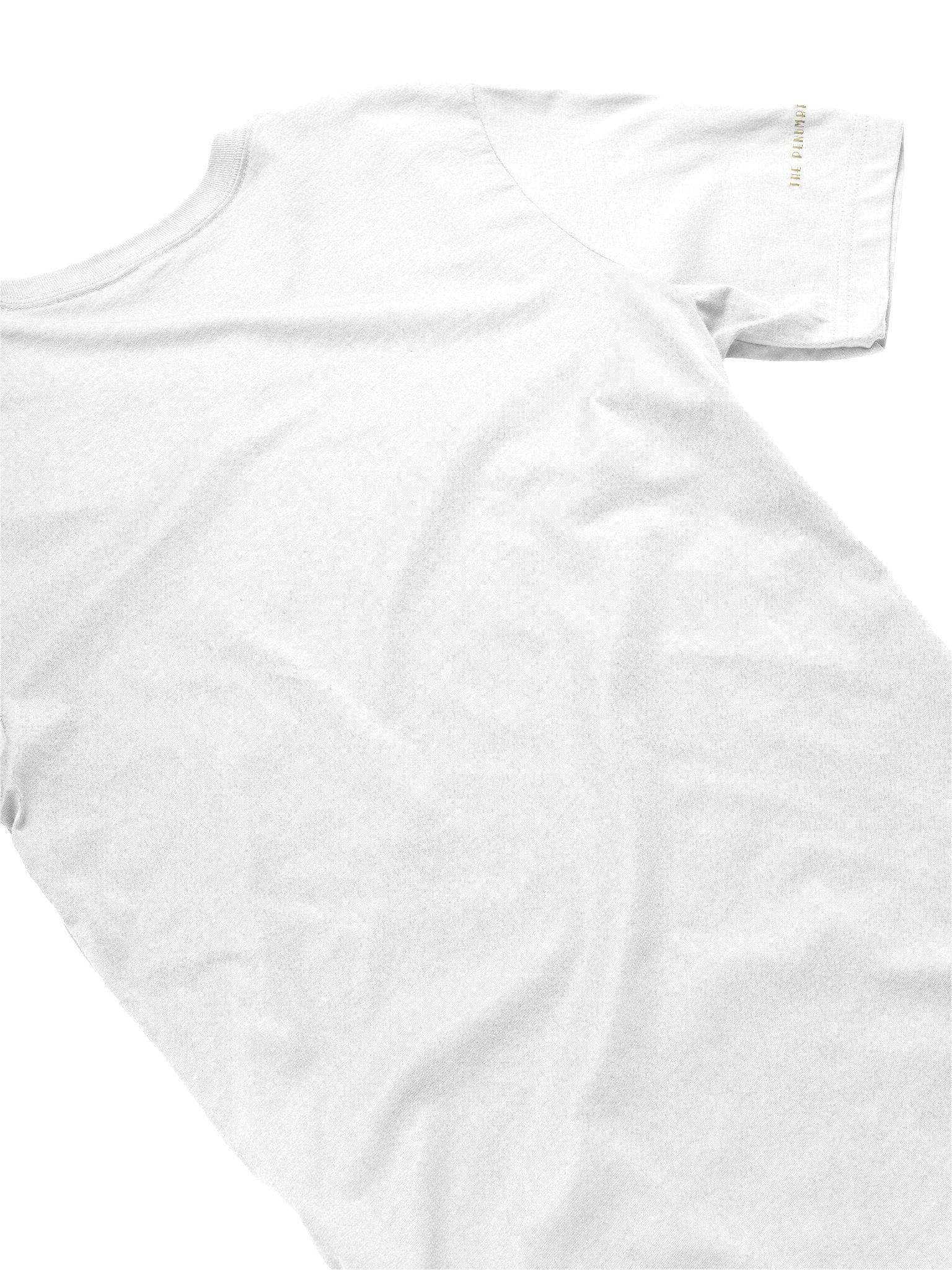 Can't Tear My Eyes from You T-Shirt product image (4)