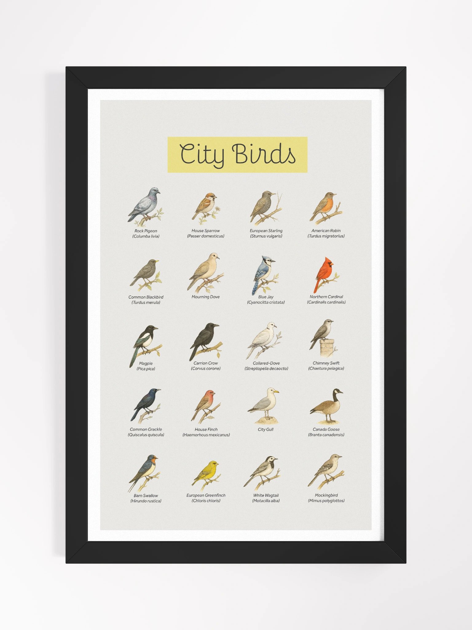 City Birds Framed Art Print product image (2)