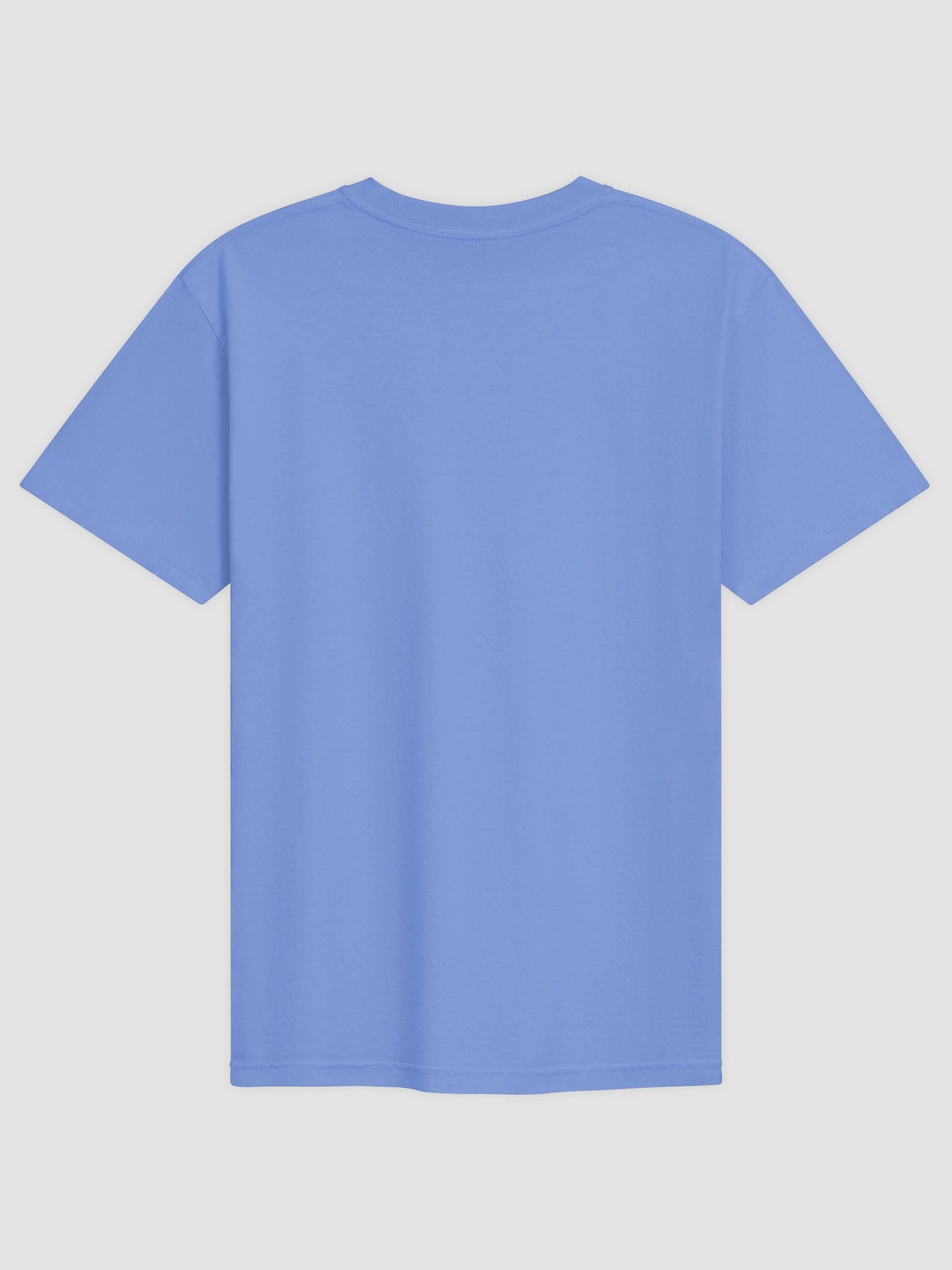 Be Still Psalm 43 - Comfort Colors product image (3)