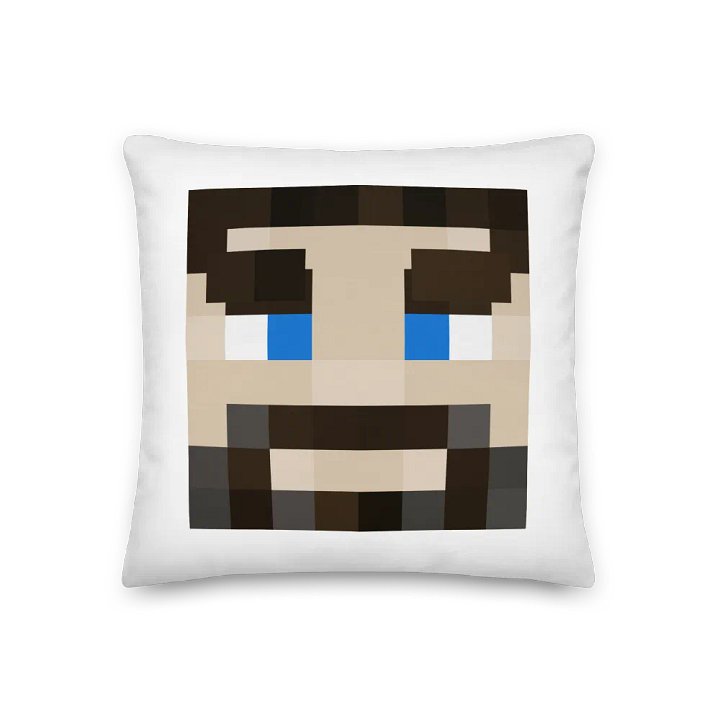 Todd13 Pillow product image (1)