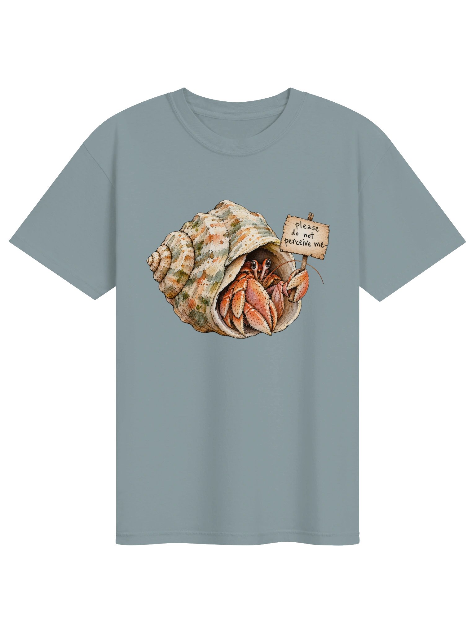 Do Not Perceive Me Hermit Crab product image (1)
