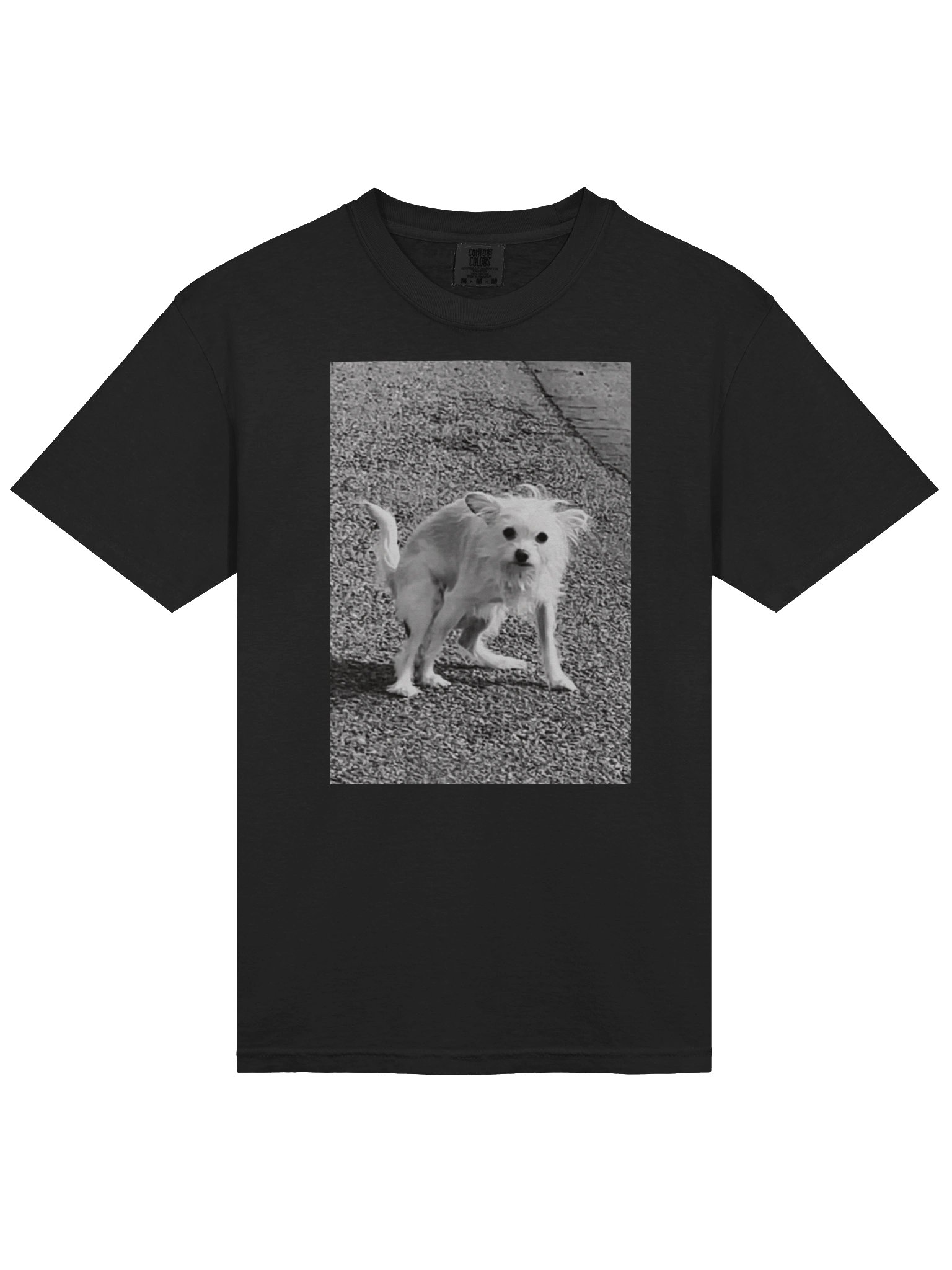 Charlie Shits product image (3)