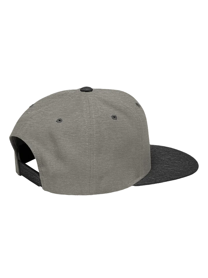 Aliencarvings.com Heather Grey Snapback product image (2)