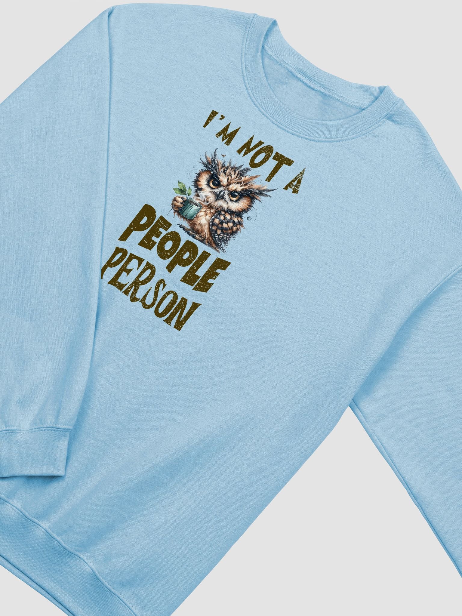 Whimsical Owl Not a People Person Sweatshirt product image (6)