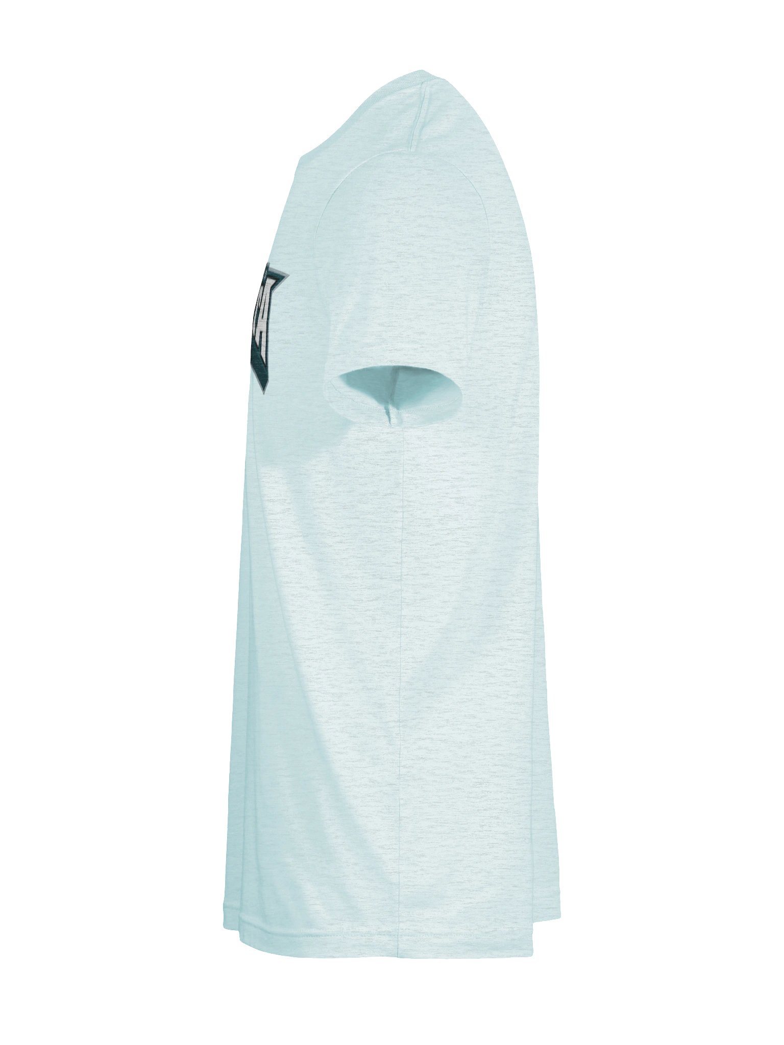 Go Birds tee product image (10)