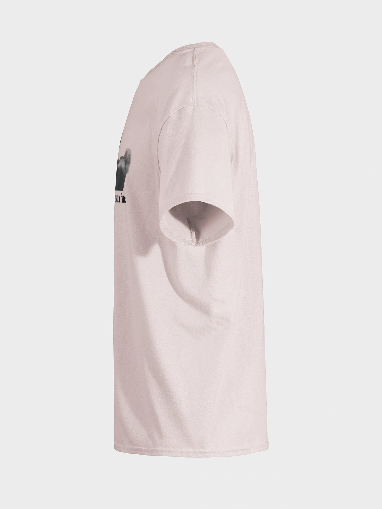 The council shall decide your fate T-shirt product image (76)