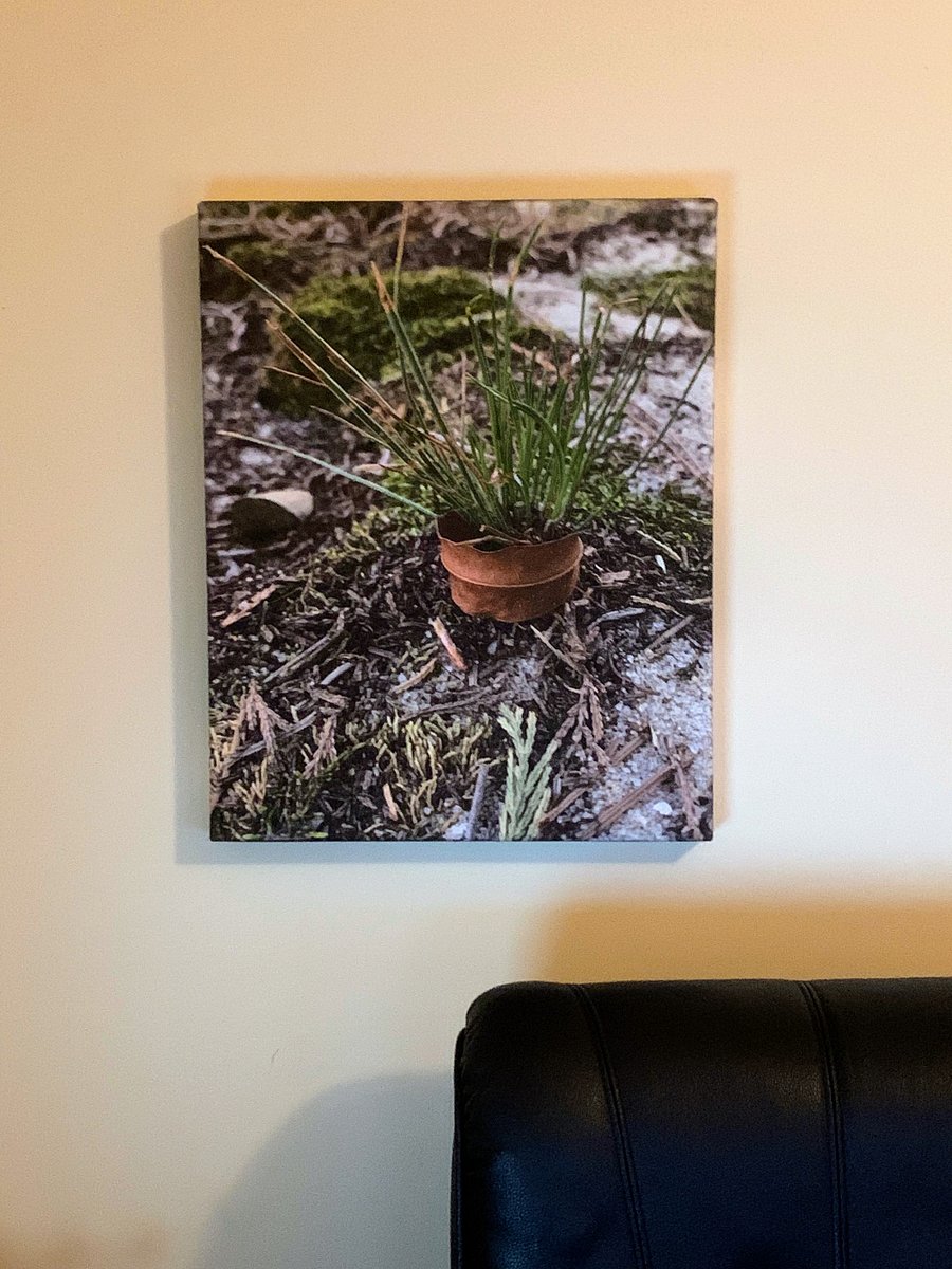 Terracotta - Photography on Canvas product image (2)