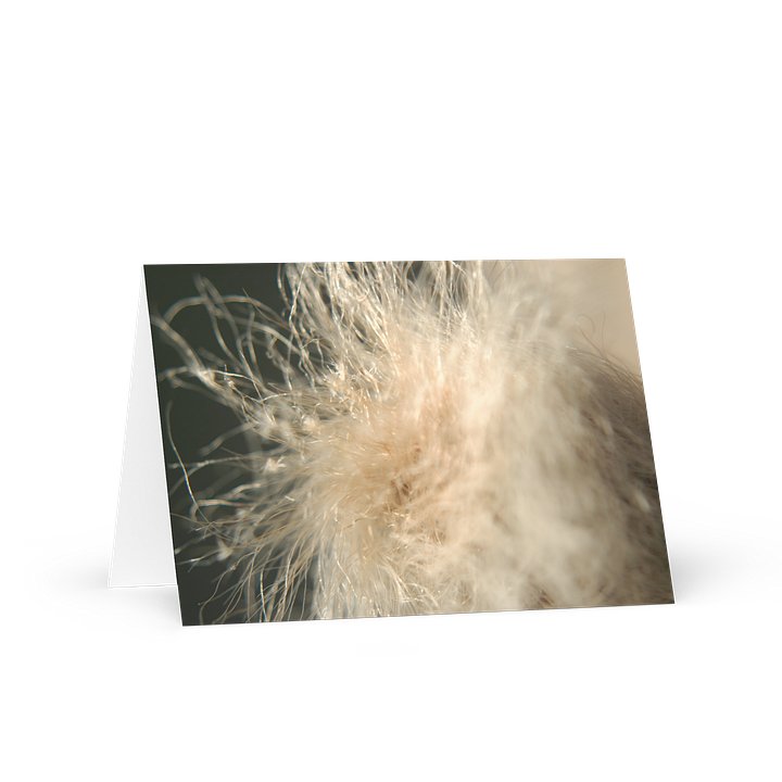 fluff — from "holding" | greeting card | eza | casa de karma product image (1)