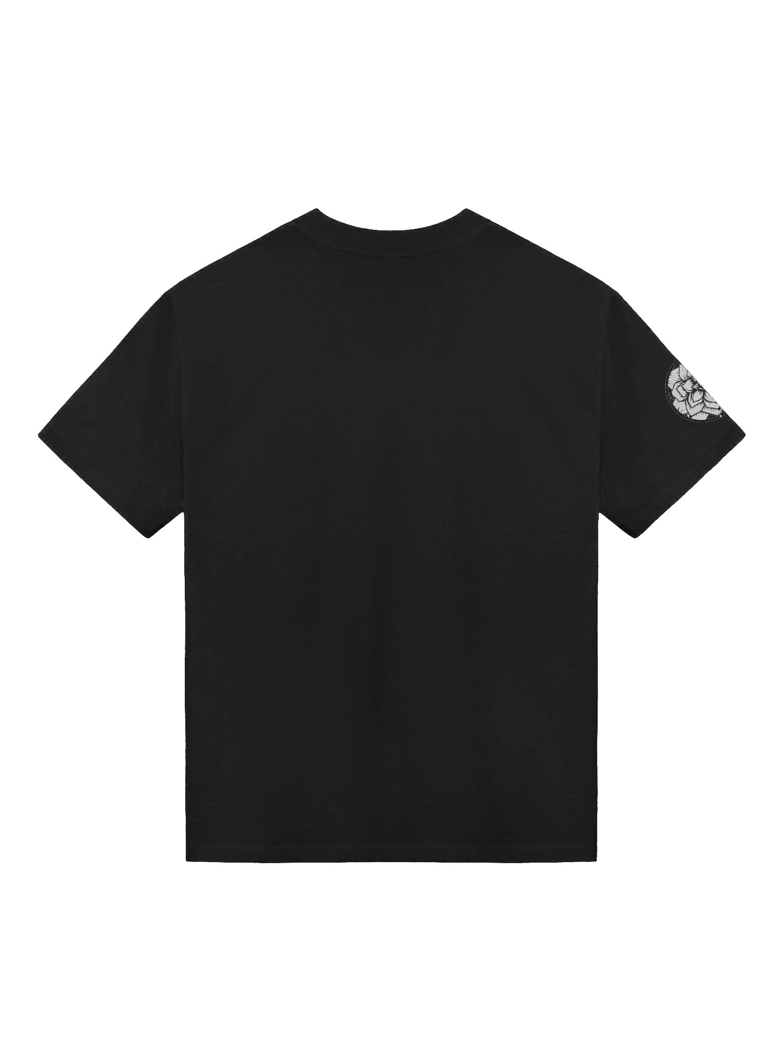 Logic Plague Japanese Oversized Tee product image (2)