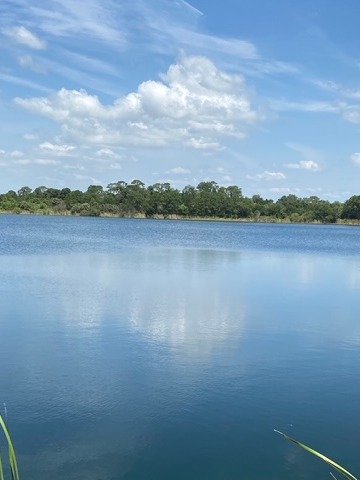 Lake Life product image (1)