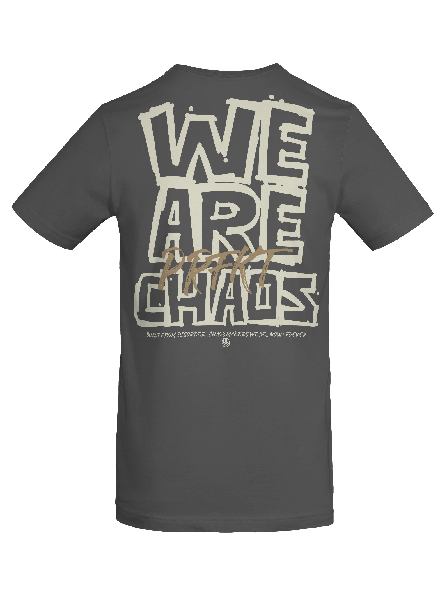 We Are Chaos Tee - Asphalt product image (8)