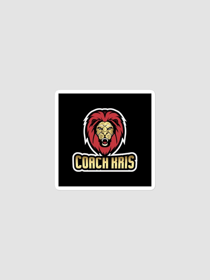 [CoachKris] Bubble-free stickers -2 product image (1)