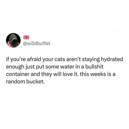 anywhere that a cat is instantly becomes a holy site