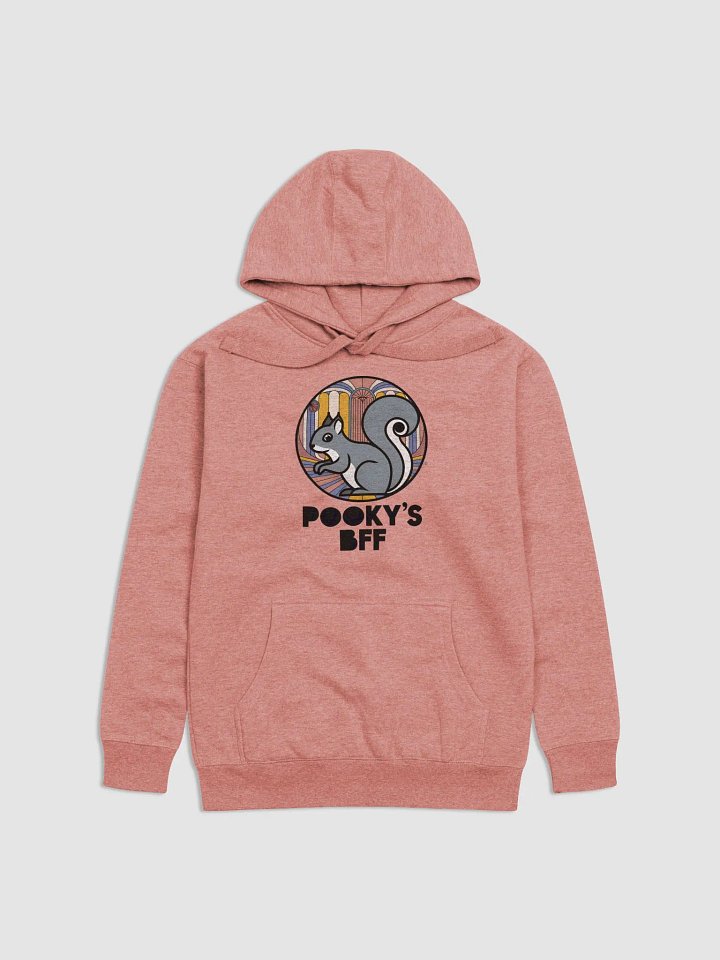 Super Soft Hoodie: Pooky's BFF, Art Deco, Grey Squirrel in Circle product image (1)