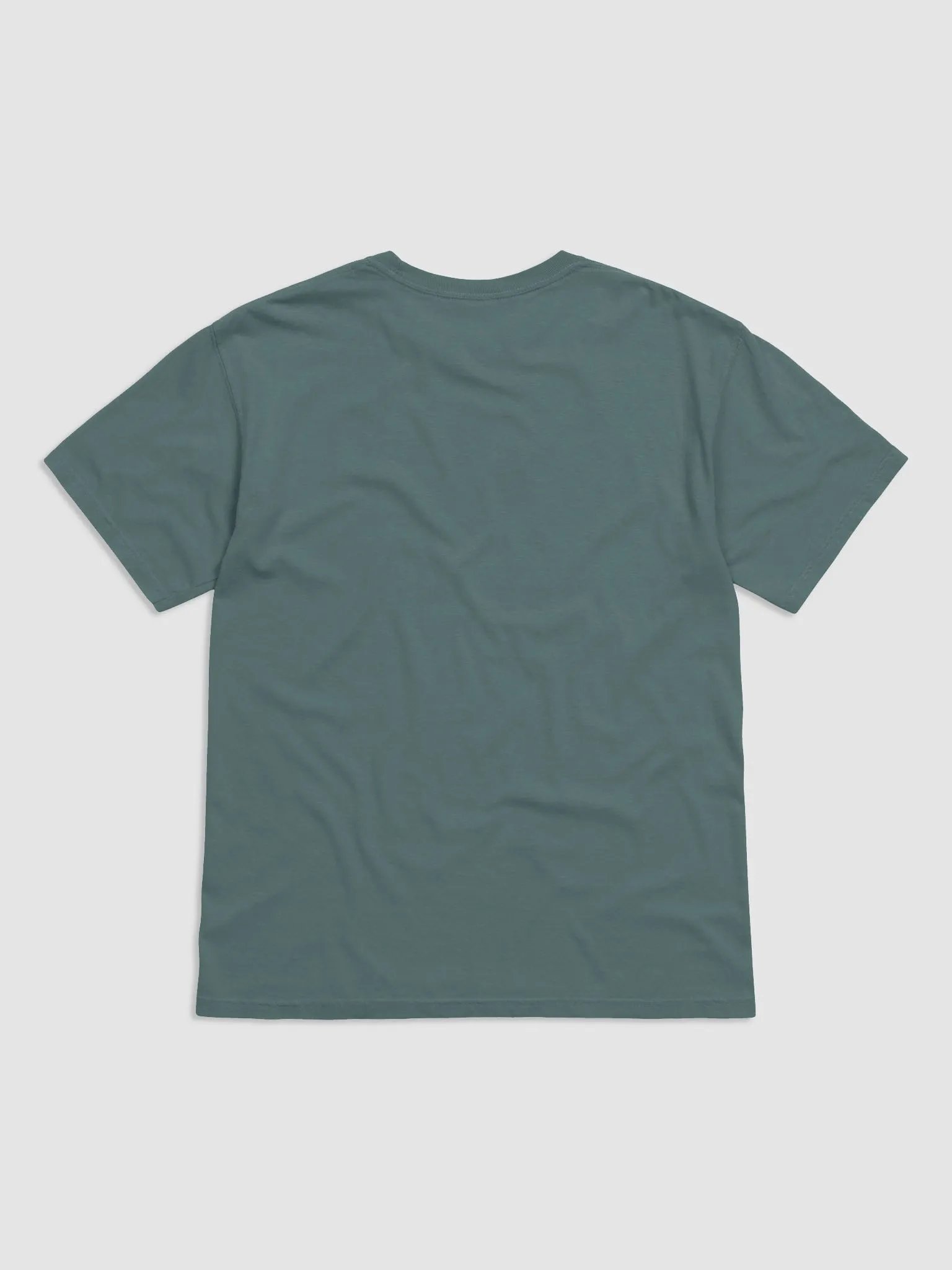 CFSV Classic T-Shirt (Comfort Colors) product image (3)