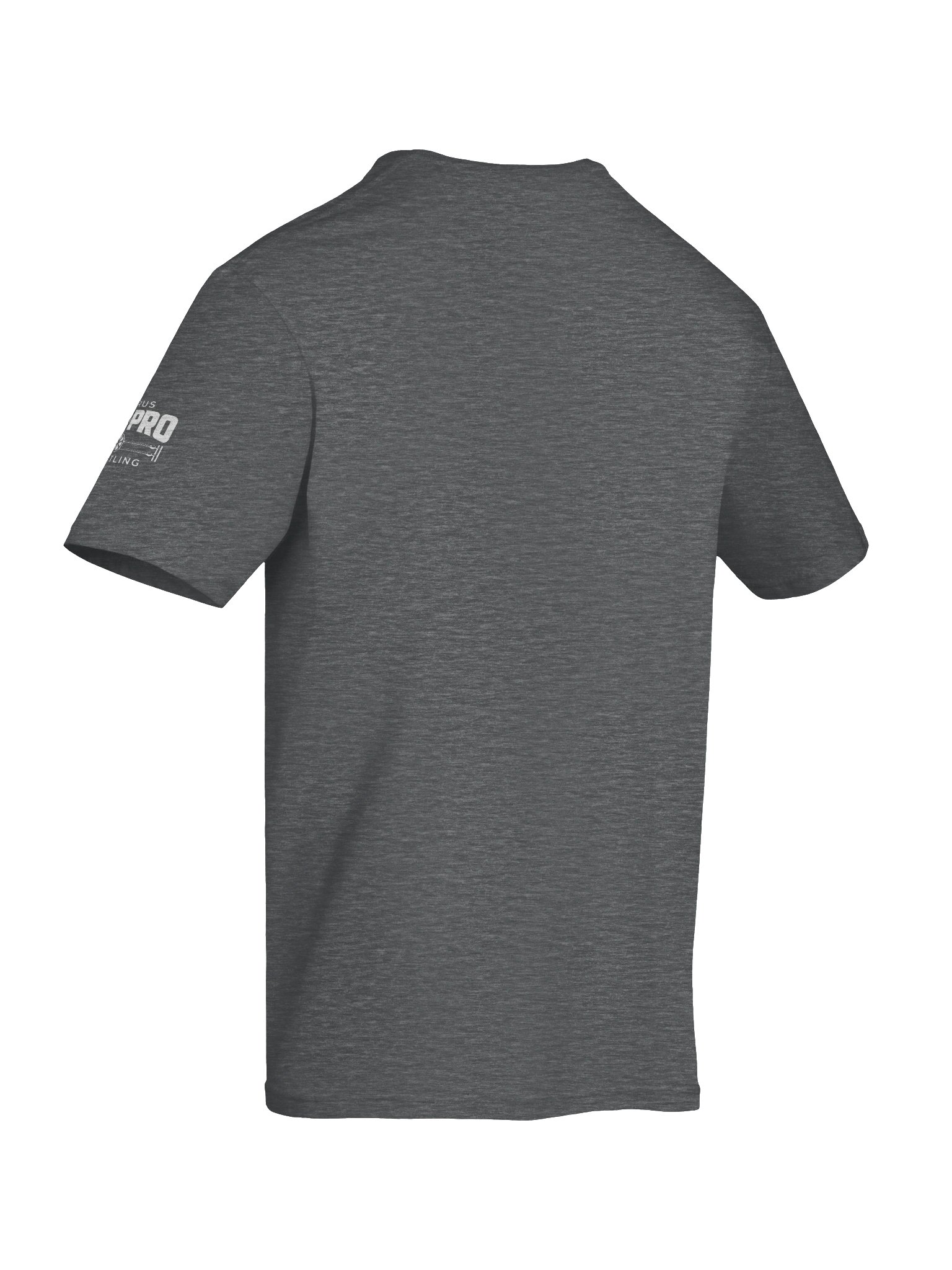 CAPW "Two Flags, One Ring" Tee product image (12)