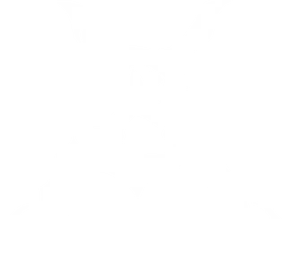 Xenon Braun
