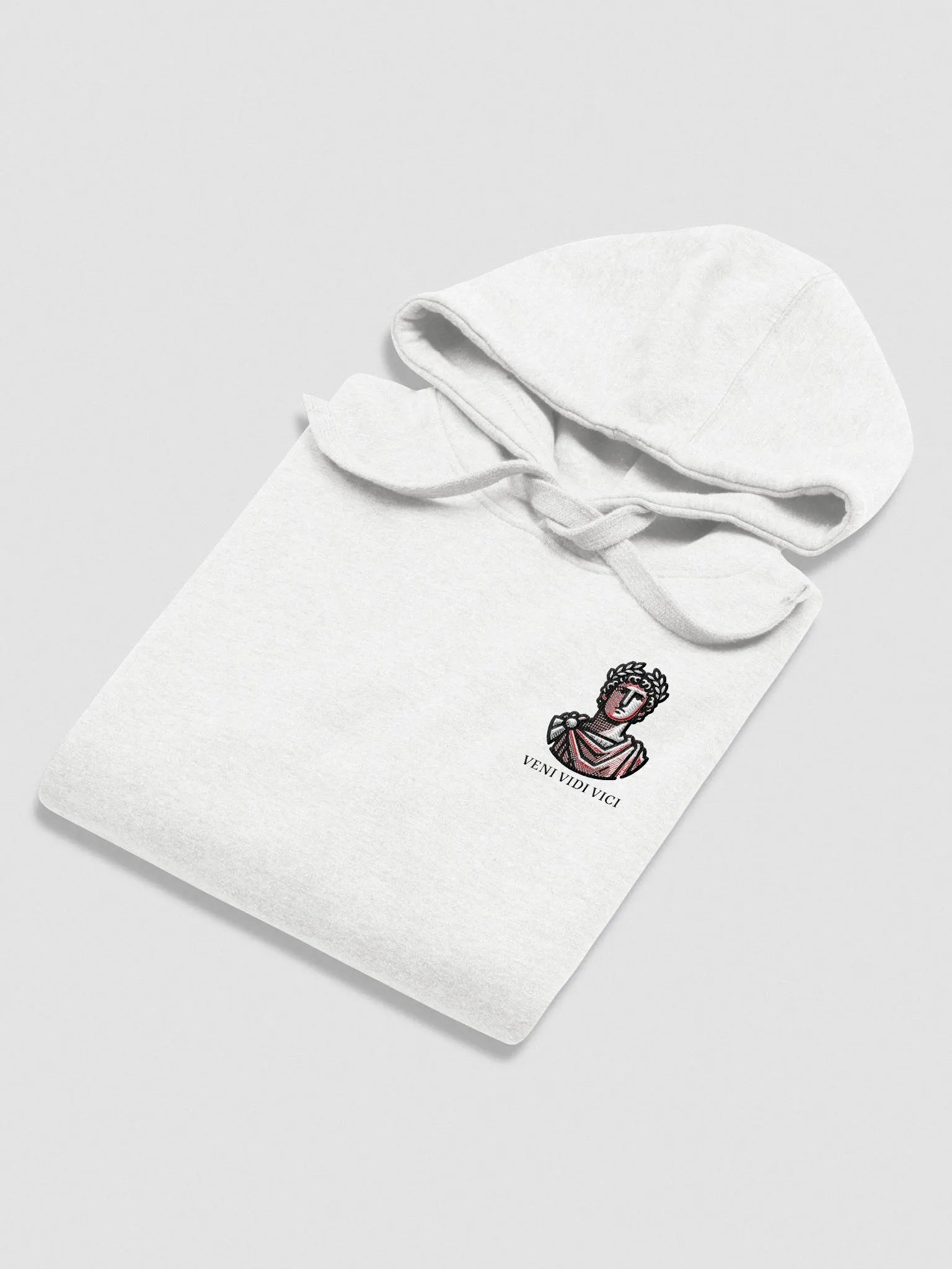 Veni Vidi Vici Hoodie product image (3)