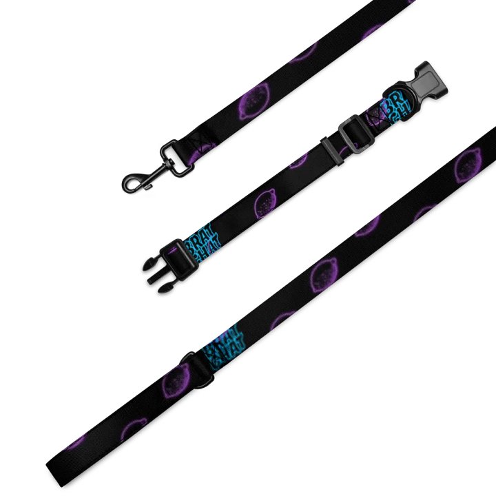 Brat Chat Leash and Collar product image (1)