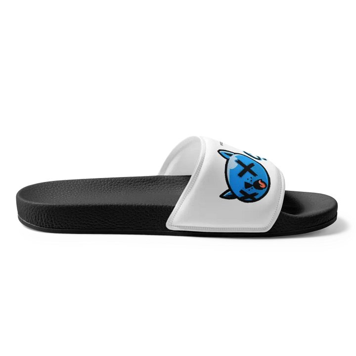 Starky Slides! product image (2)