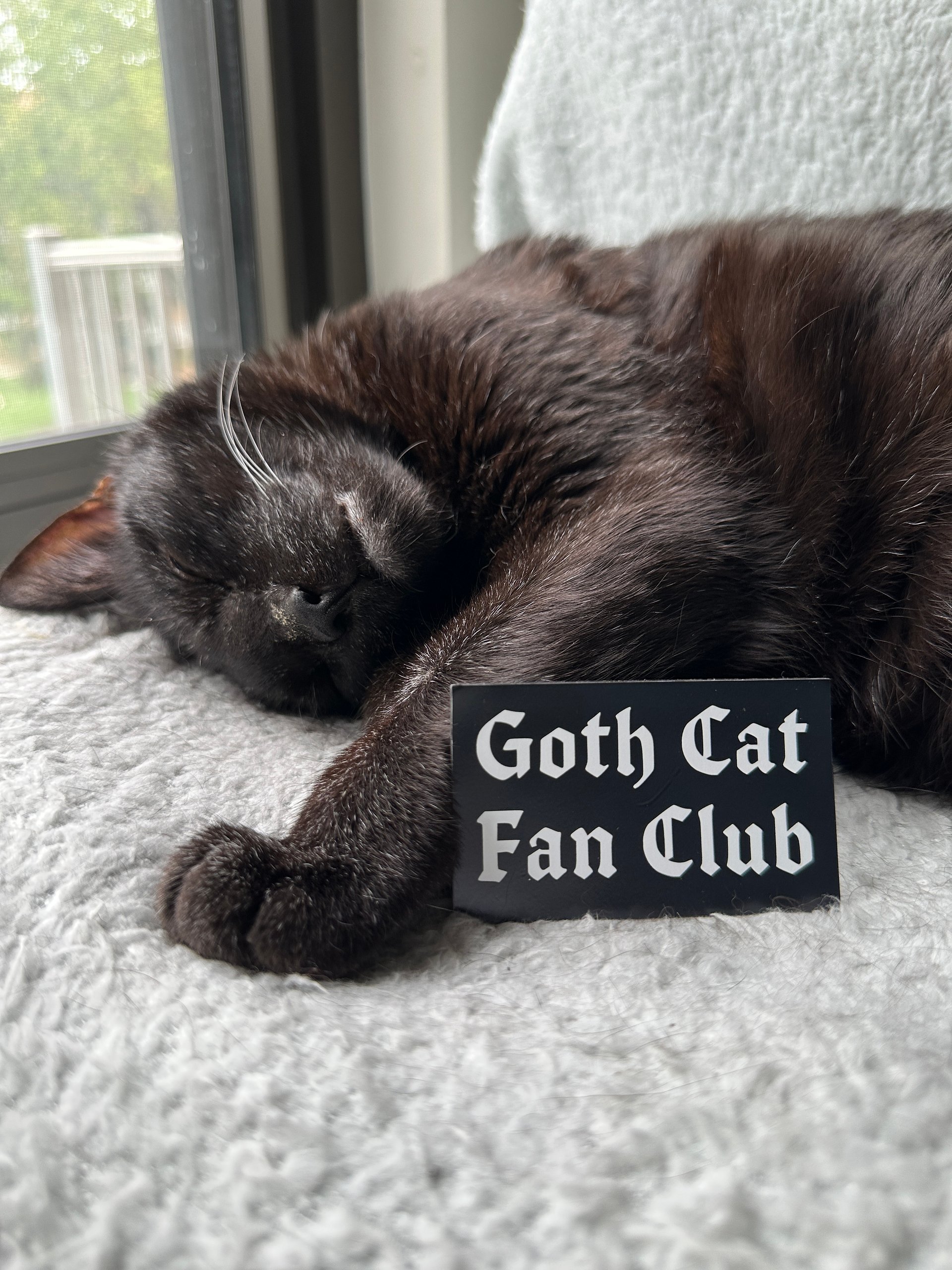 Goth Cat Fan Club sticker product image (2)