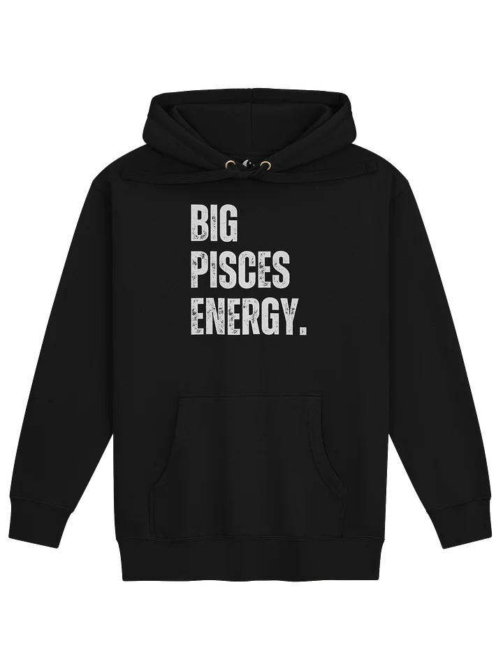BIG PISCES ENERGY Hoodie product image (1)