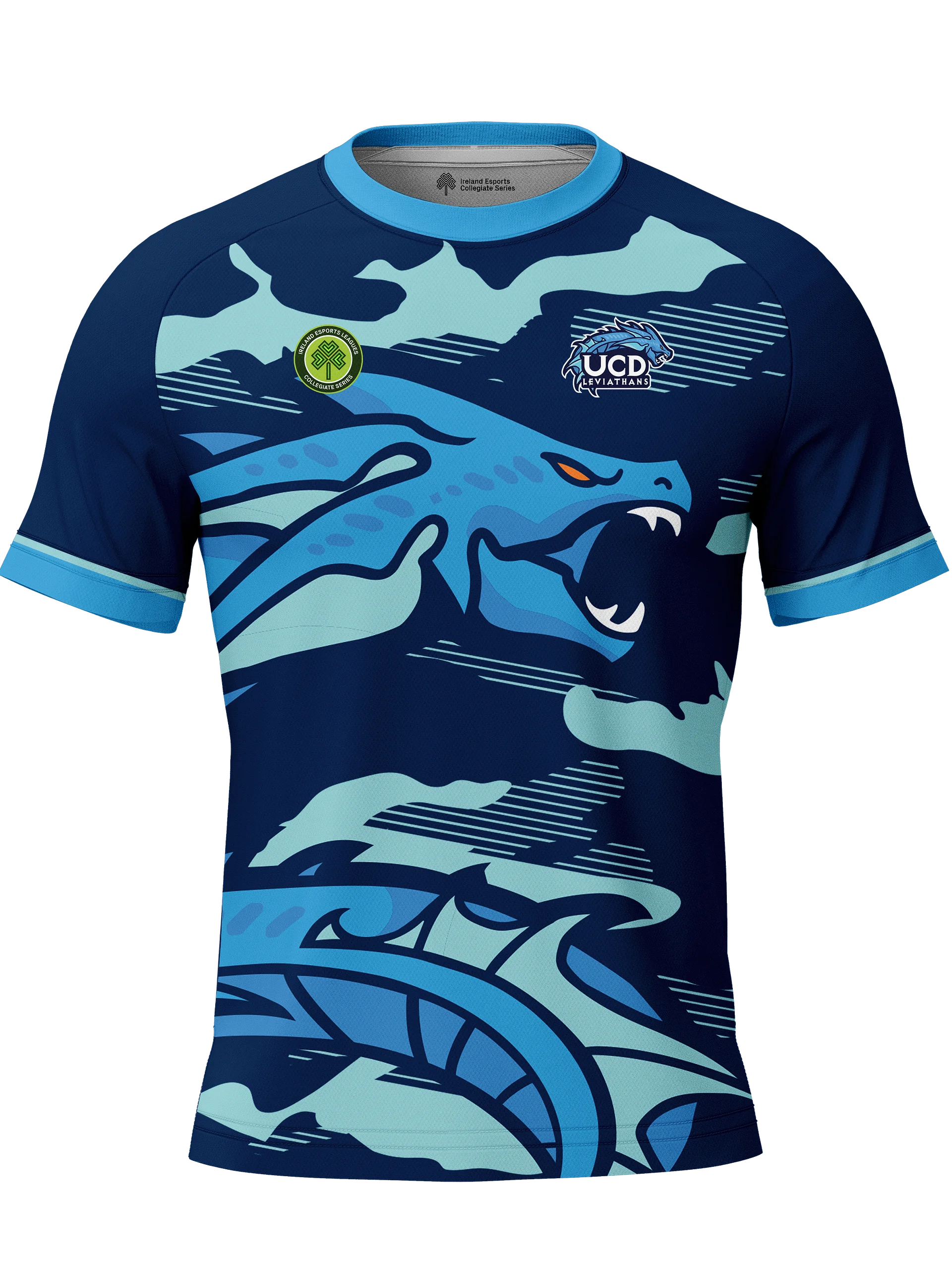 UCD Player Jersey product image (1)