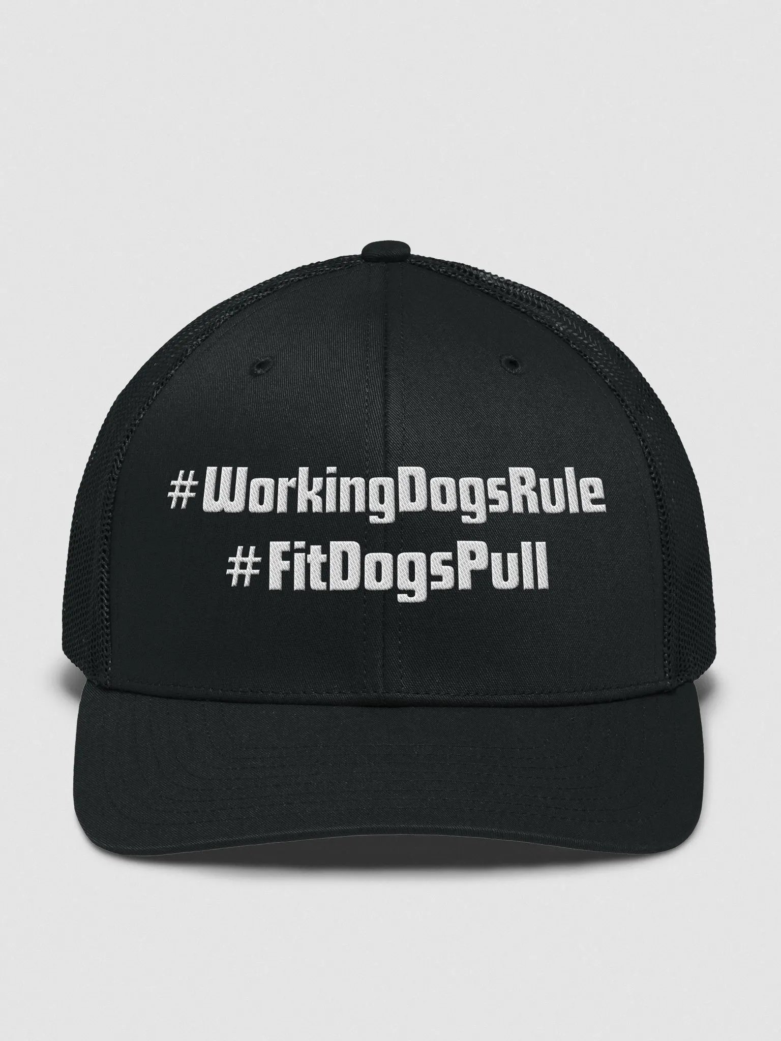 # Tag Hat product image (1)