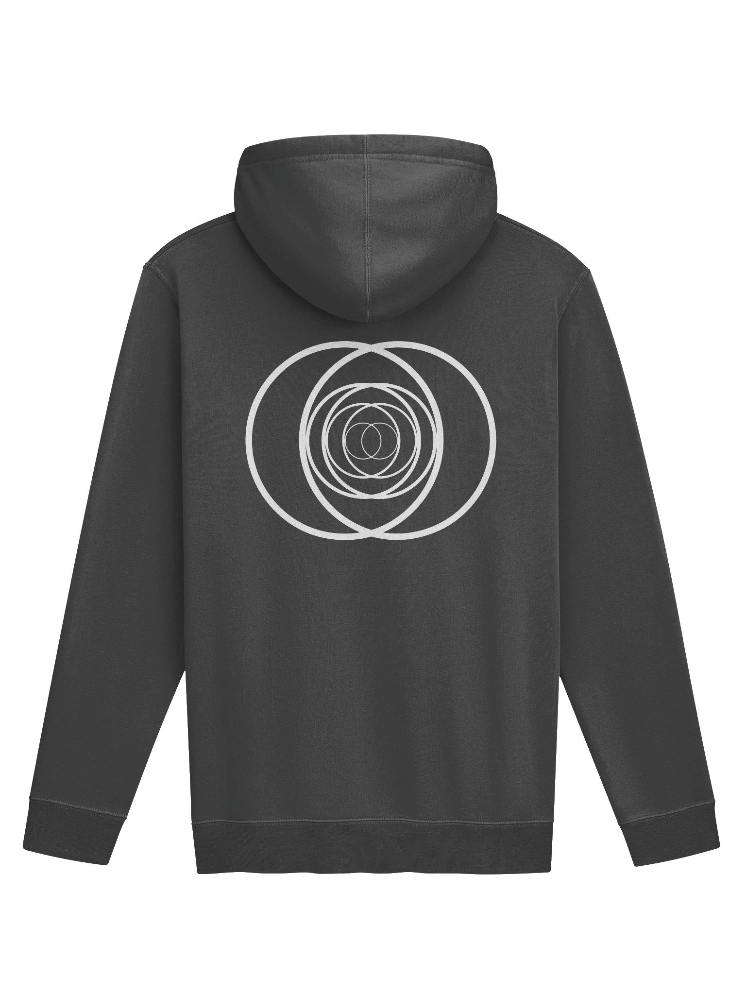 The Belonging Hoodie product image (2)