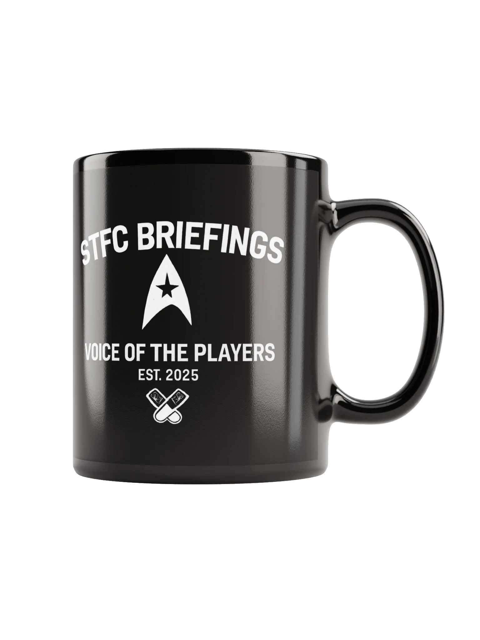 STFC Briefings EST Mug product image (1)