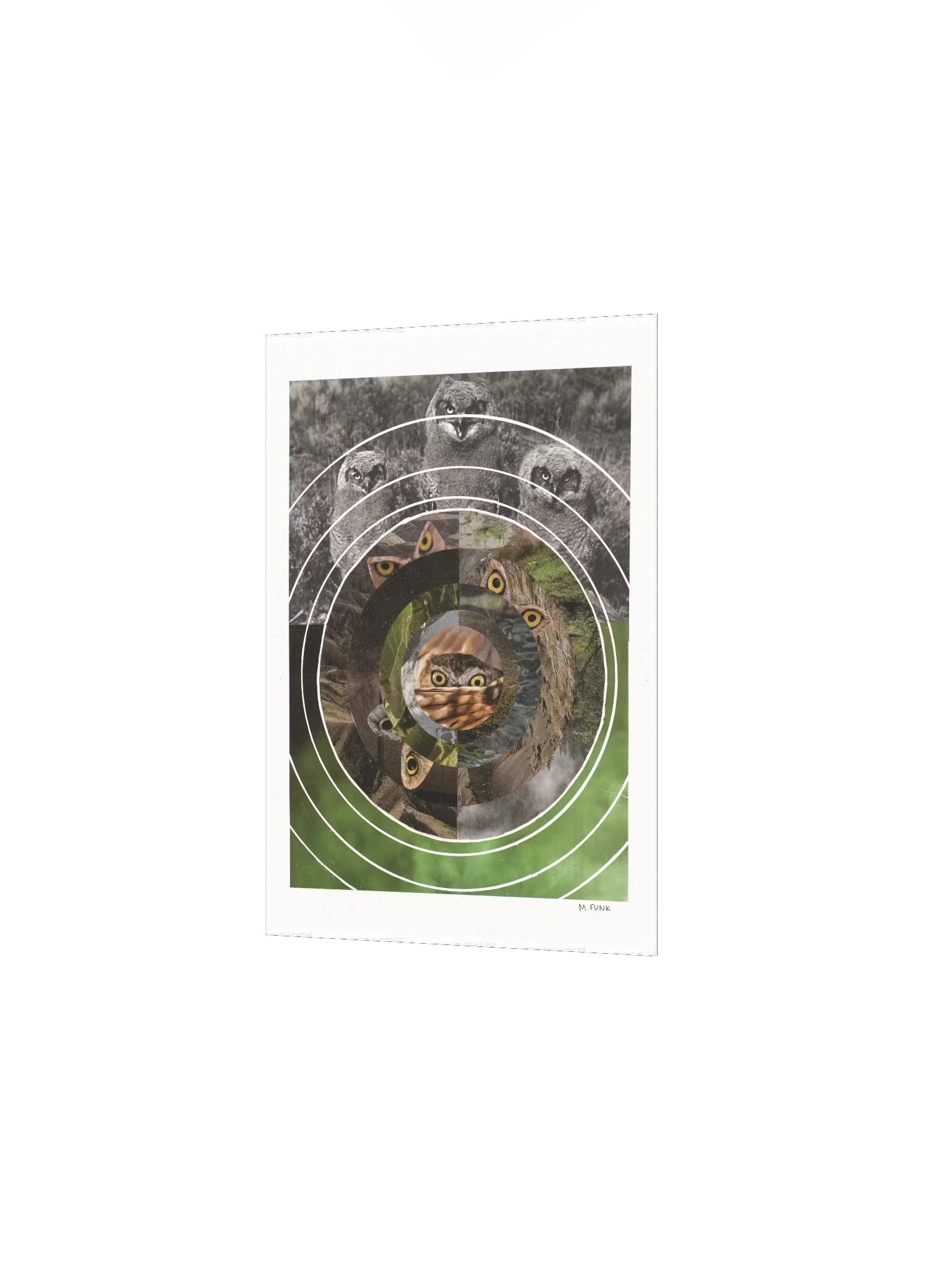 Always Watching product image (2)