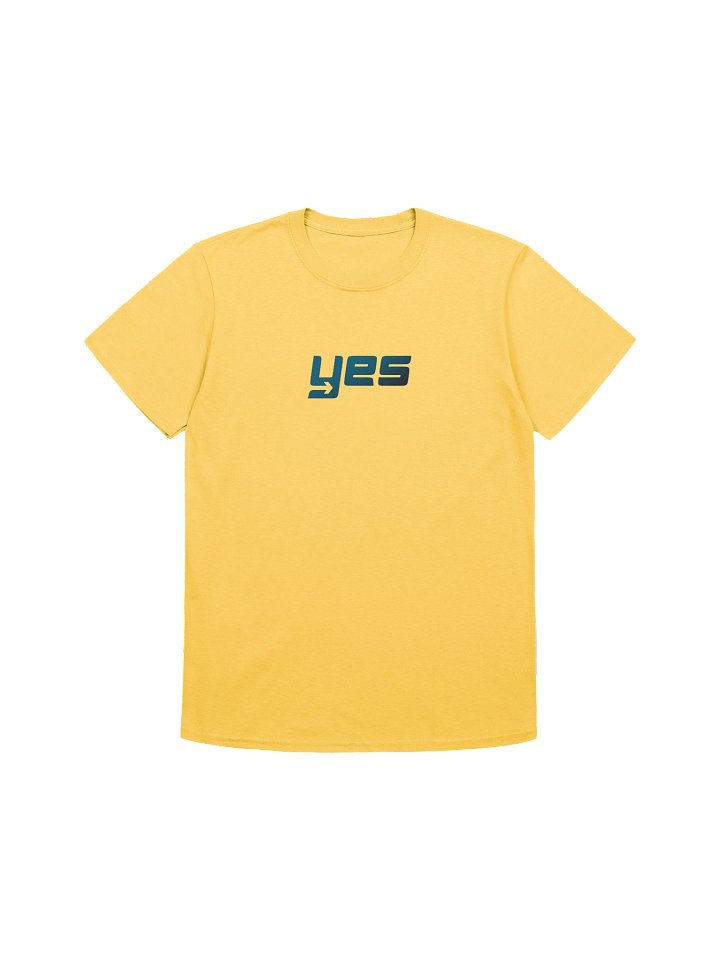 Say YES to what God has next product image (1)