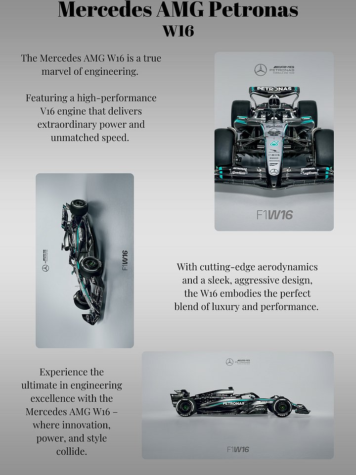 Mercedes W16 – The 2025 Poster product image (1)