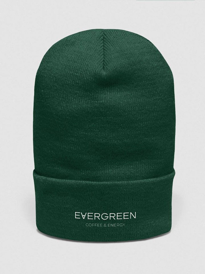 Brewista Basics | Evergreen Beanie product image (29)