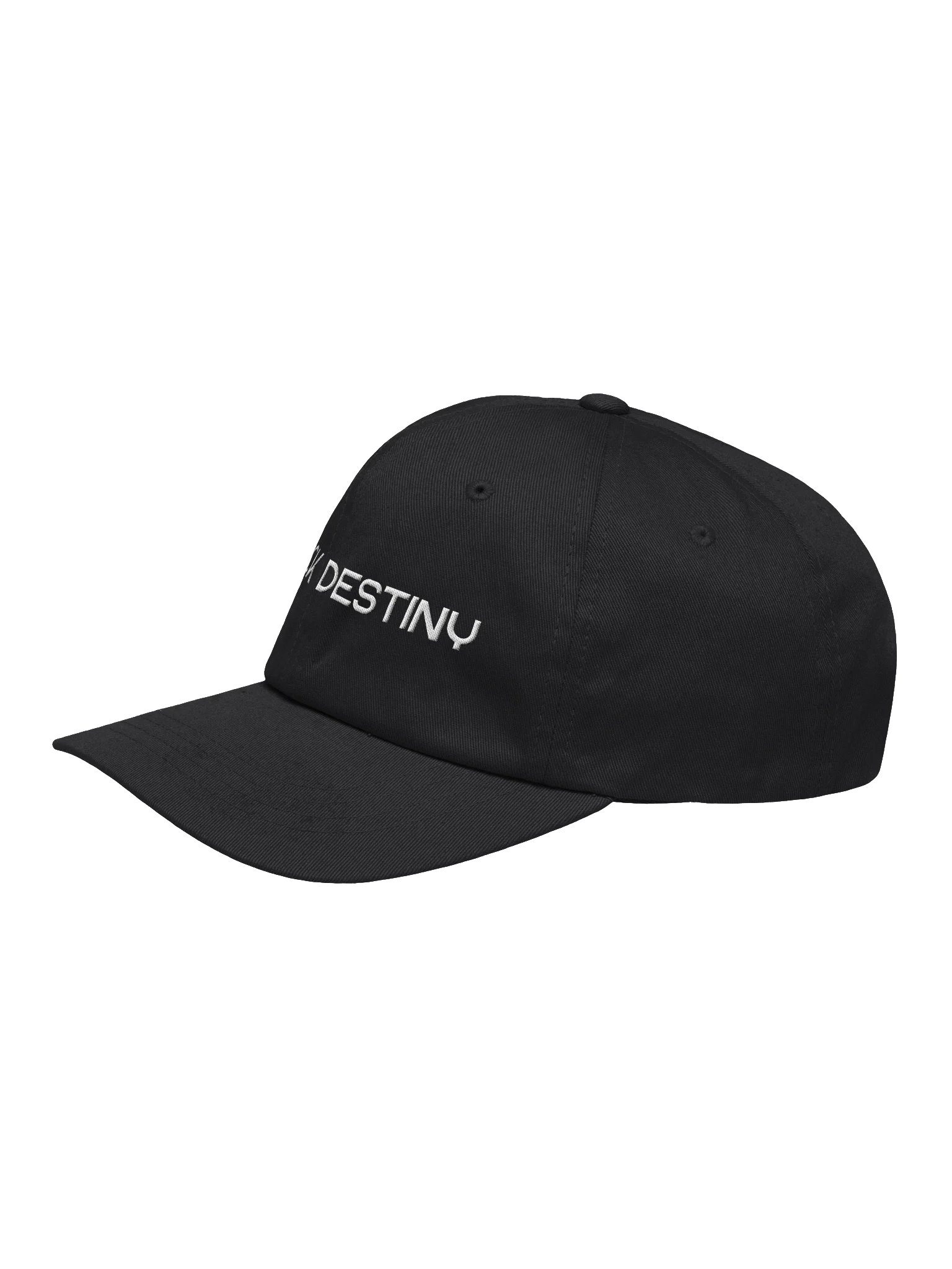 The "Fuck Destiny" Hat product image (3)