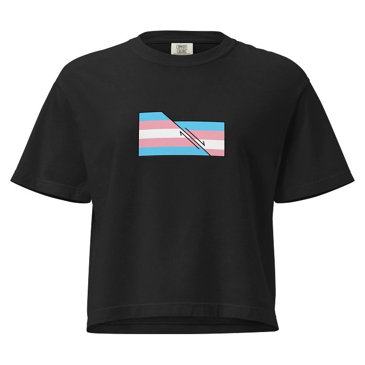 Faulted Pride Flags- Transgender Shirt product image (1)