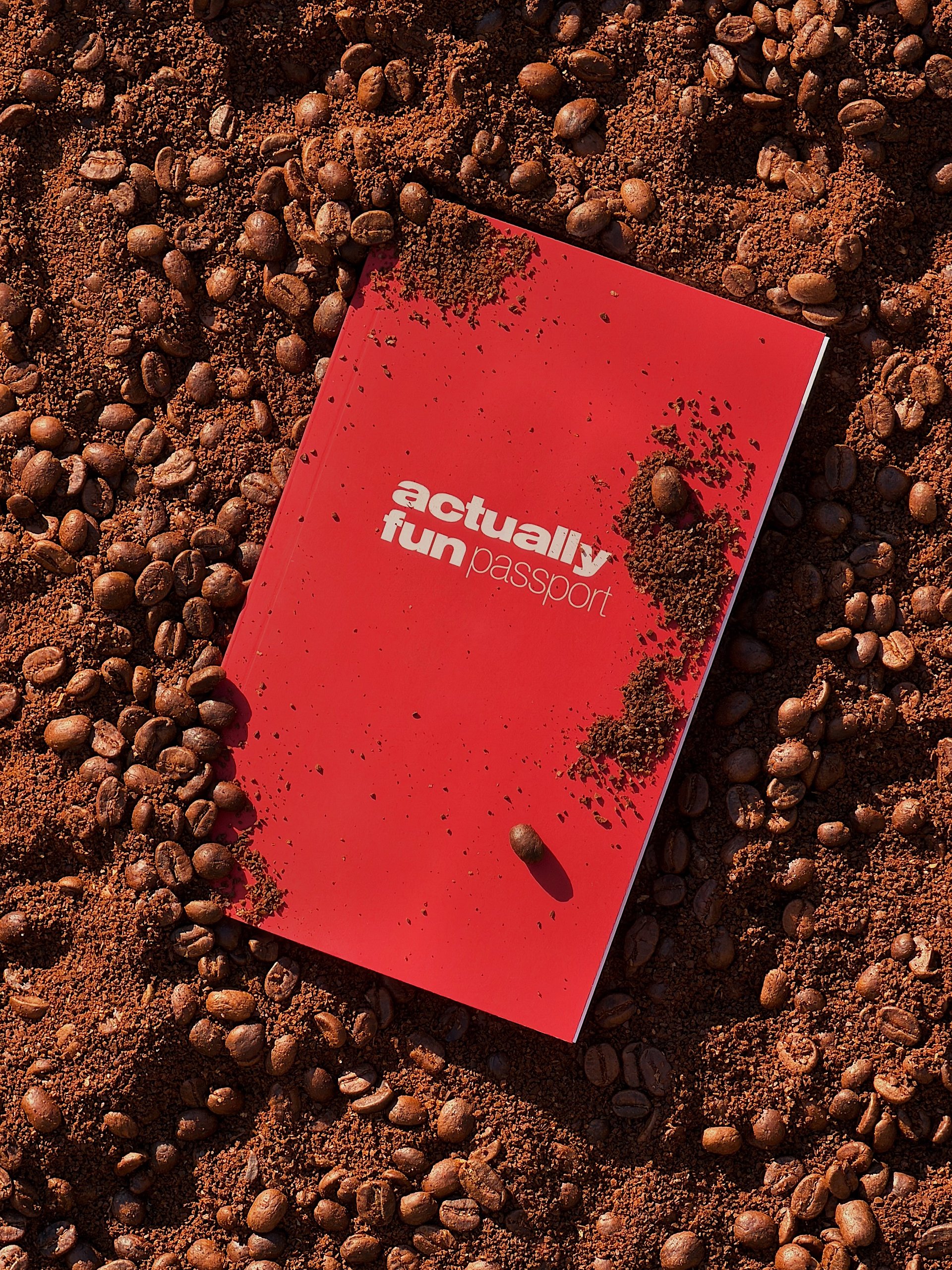 Actually Fun Passport product image (1)