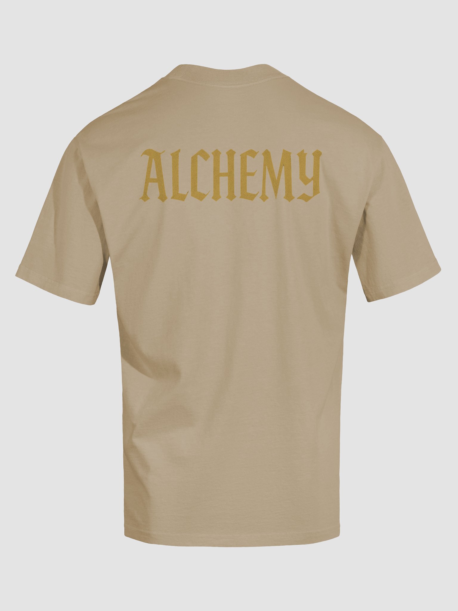 Golden Alchemy Oversized Tee product image (6)