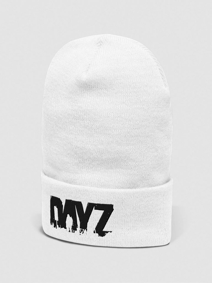 DayZ Beanie (Black) product image (2)