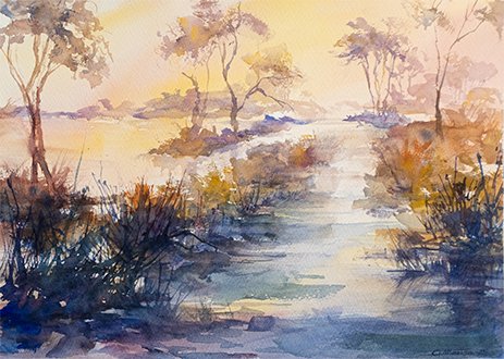 Cadmium Wetlands product image (1)