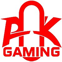 PainkillerLee