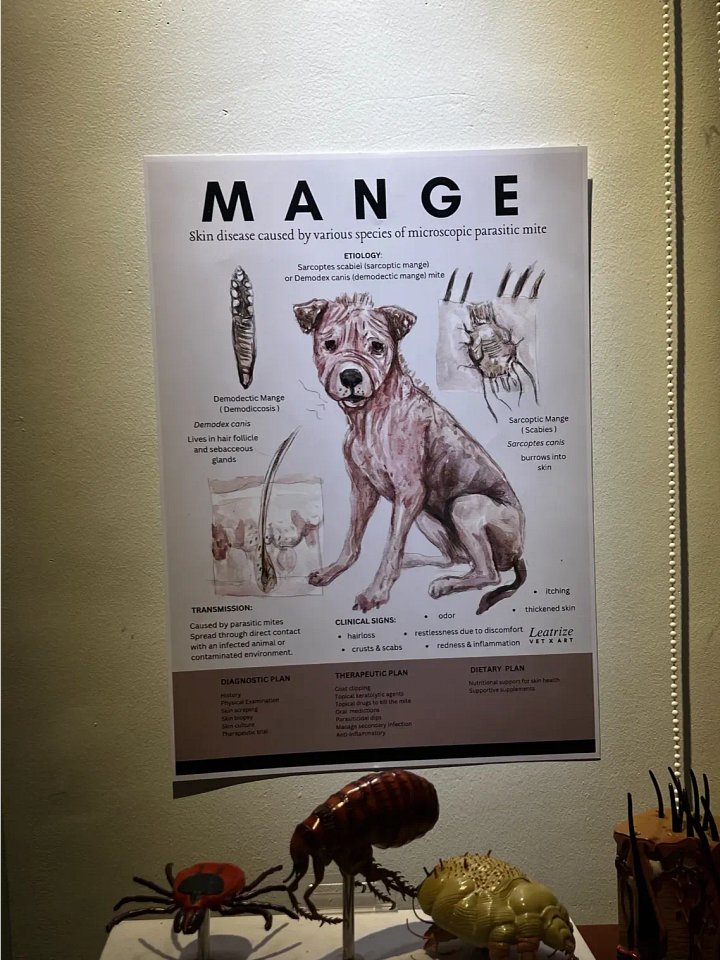 Vet Clinic Wall Art: 12 Infectious Disease Posters product image (2)