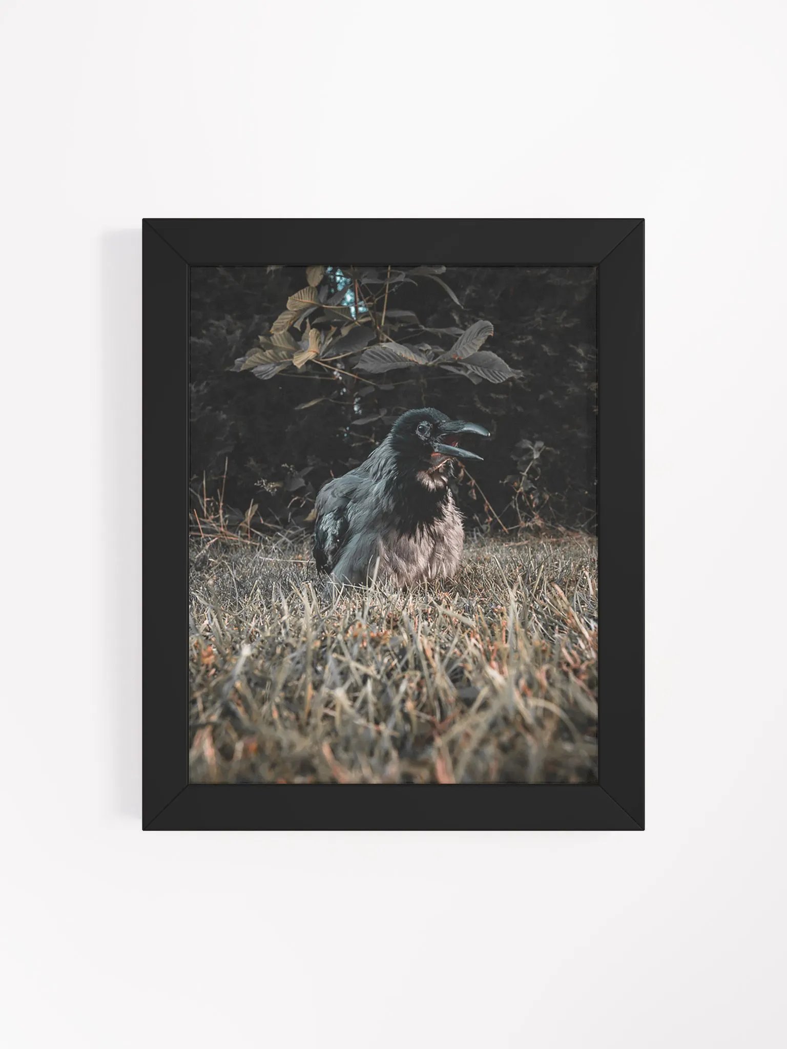 Hafez's Last Sunbeam product image (4)